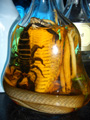 gal/09 - Divers/_thb_RIMG1902.jpg